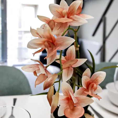 Residentie Zeezicht アパート